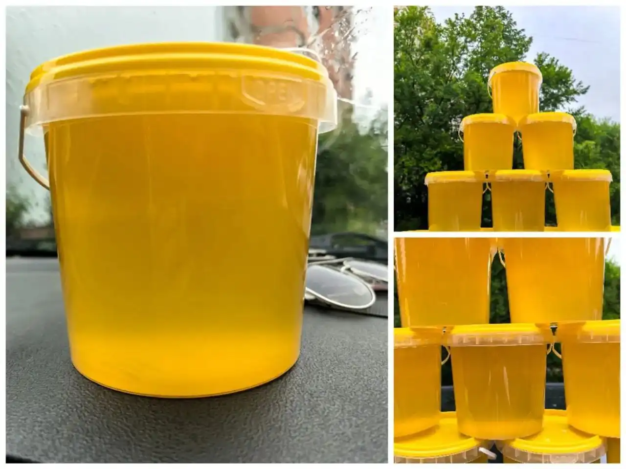 Дальневосточный липовый мед