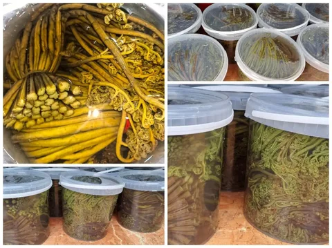 Продажа дальневосточного соленого папоротника - Разное в Хабаровск