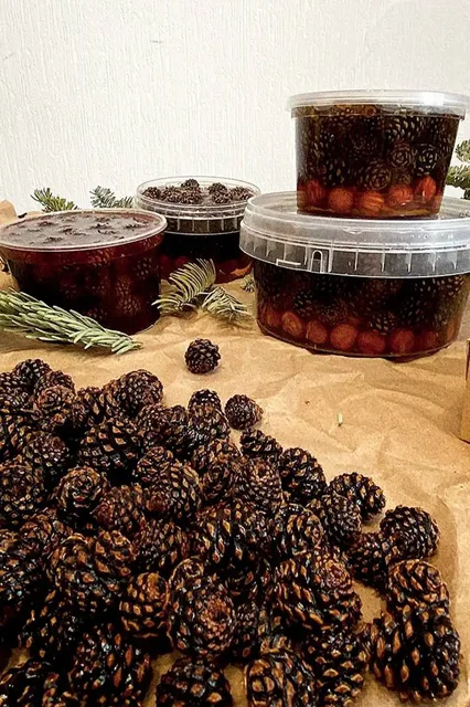 Шишка сосновая молодая, цукаты и мед с добавками - Хобби и отдых в Екатеринбург