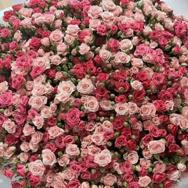 Уникальная парфюмерия и элегантные вещи в Ростове-на-Дону и регионах