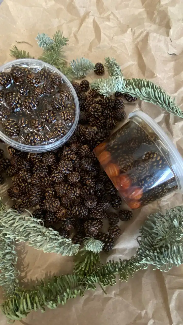 Продажа меда различных сортов в Томске