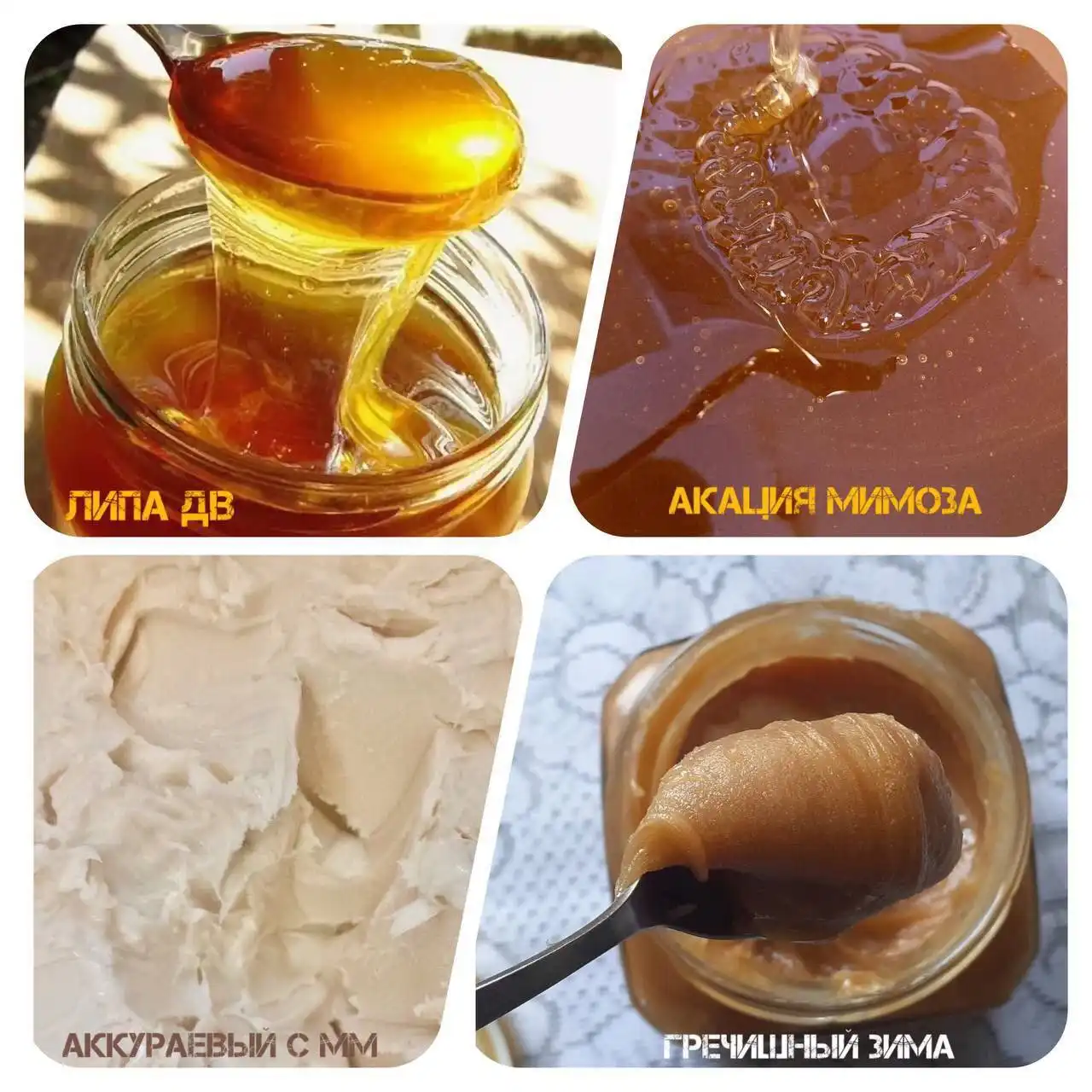 Продажа меда различных сортов в Томске