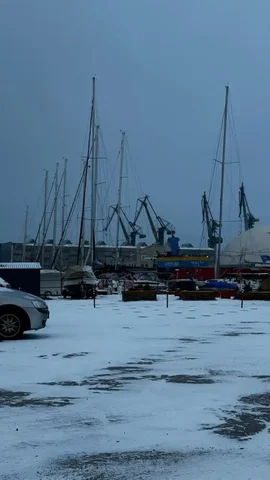 Свежайший хек тушка из Аргентины на складах Москвы и Санкт-Петербурга - Товары для детей в Санкт-Петербург