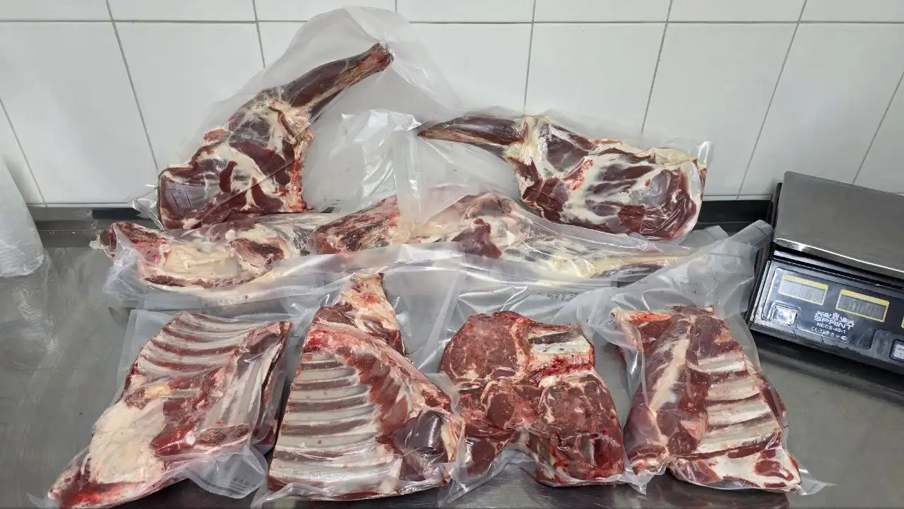 Продажа отары овец 70 голов - Скот (Животные) в Томск