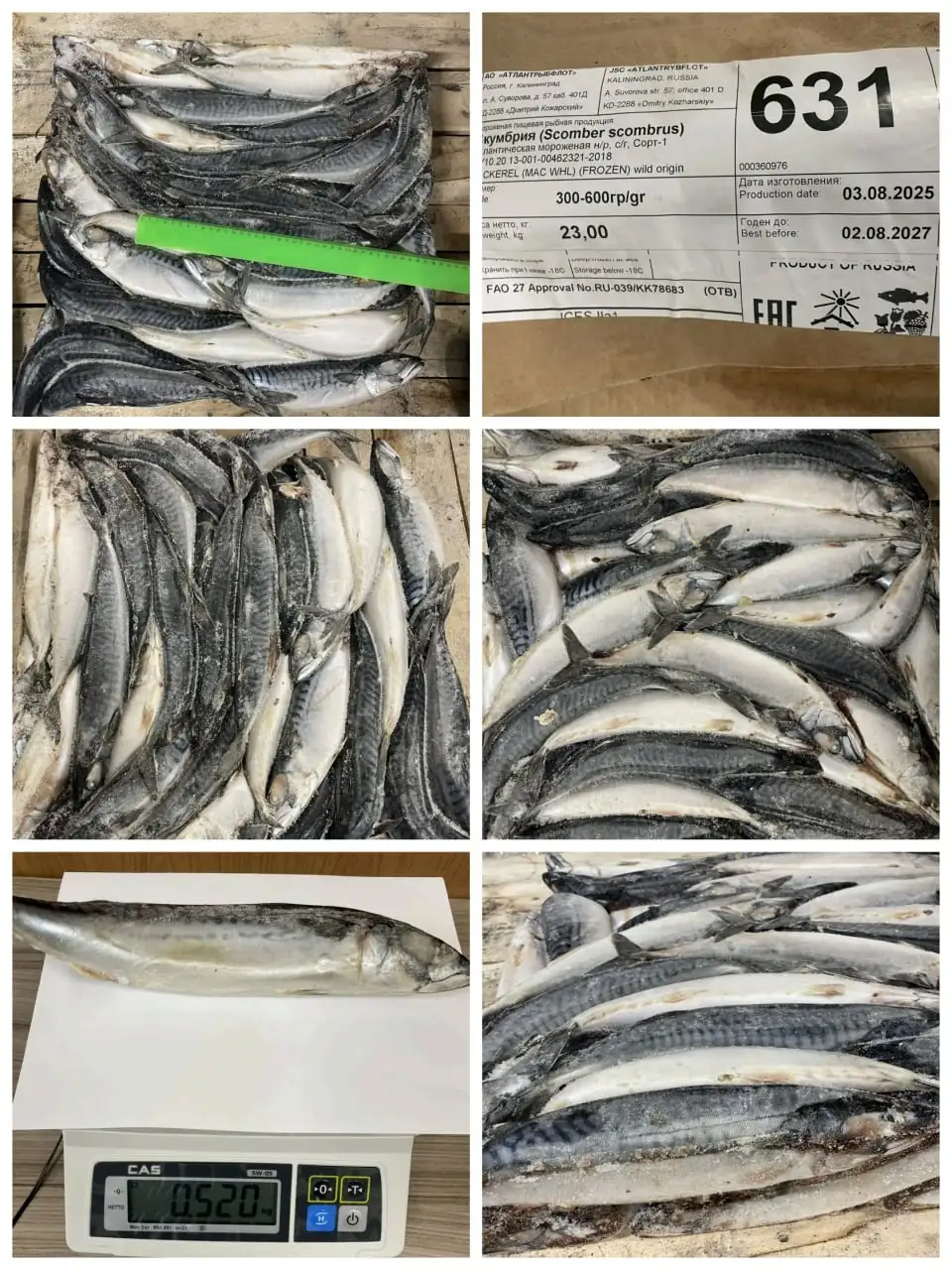 Скумбрия атлантическая 300-600 г - Барахолка в Неизвестно