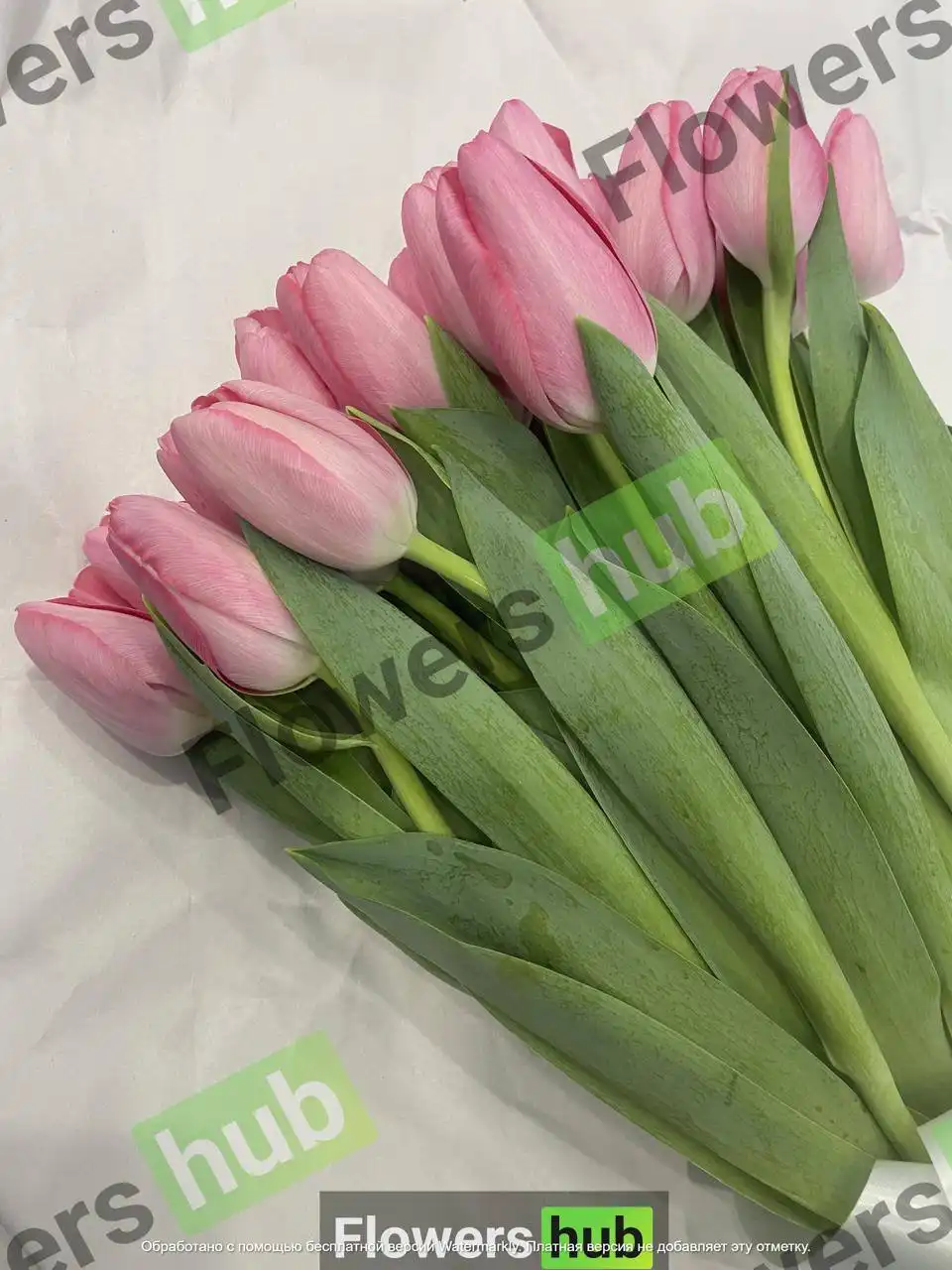 Тюльпаны к 8 марта 2026 в Хабаровске - Цветы (Хобби и отдых) в Хабаровск