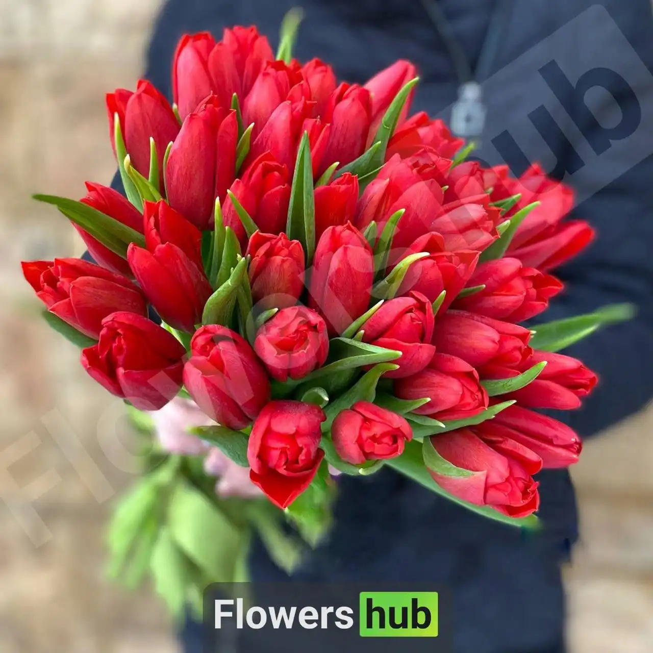 Предзаказ тюльпанов на 2026 год в Хабаровске - Садоводство/цветы (Хобби и отдых) в Хабаровск