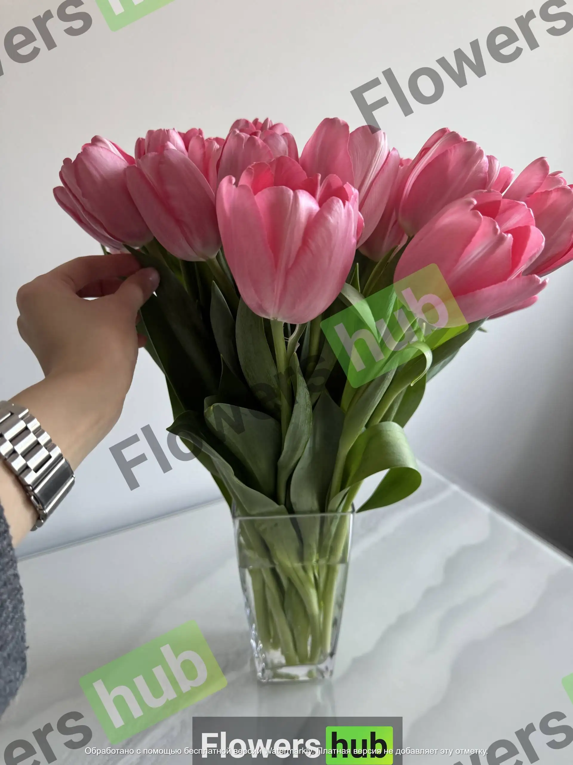 Предзаказ тюльпанов 2026 года - Растения/Цветы (Хобби и отдых) в Хабаровск