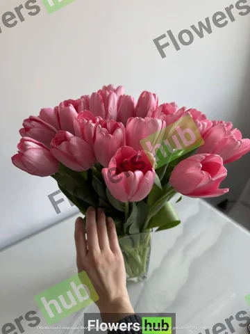 Предзаказ тюльпанов на 2026 год в Хабаровске - Садоводство в Хабаровск