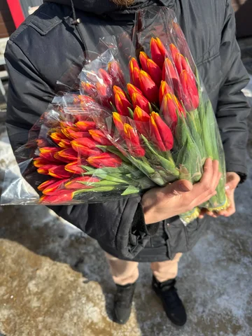 Стволы в наличии: выбор сортов - Печи и камины в Хабаровск