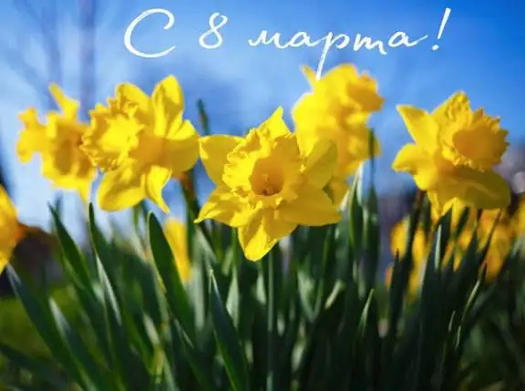 Поздравление с 8 марта в Хабаровске - Барахолка в Хабаровск