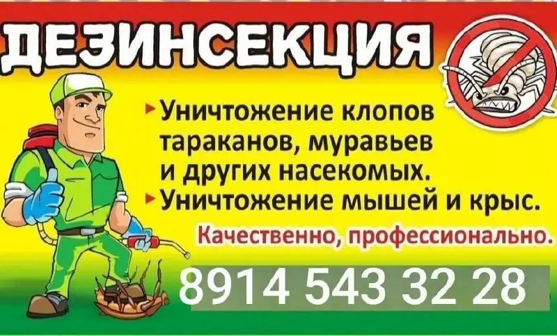 Услуги дезинсекции помещений от насекомых - Дезинсекция (Услуги) в Хабаровск