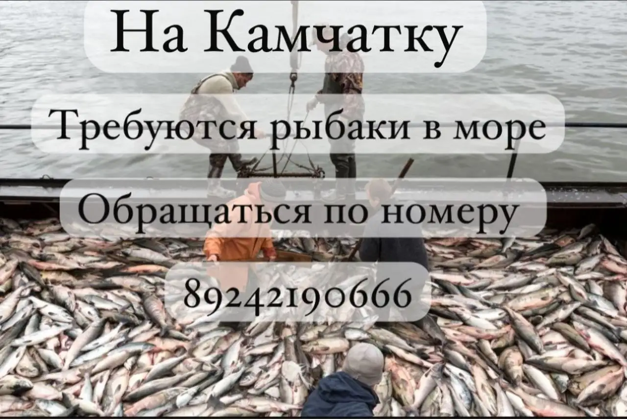 Набор рыбаков на Камчатку - Работа в Камчатка