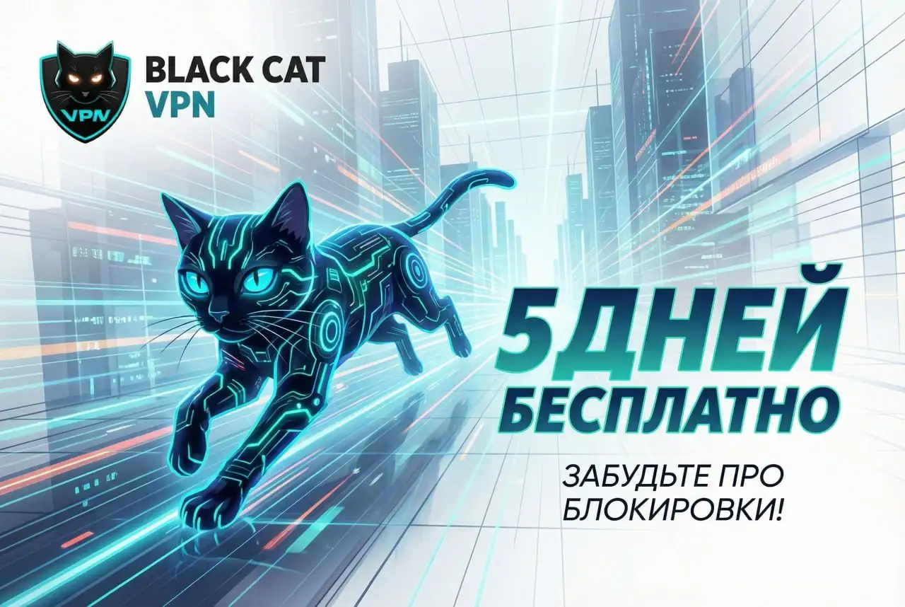 Black Cat VPN – Открой перед собой все двери - Услуги в Самара