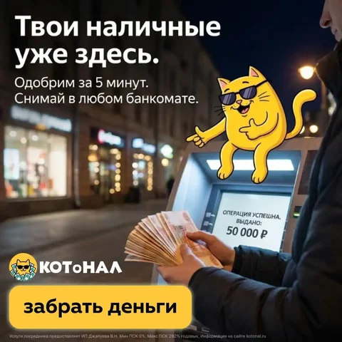 Сервис КОТоНАЛ для помощи в трудных ситуациях - Работа в Самара