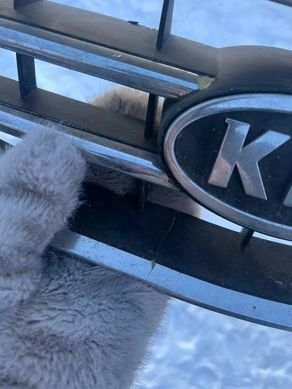 Отдам Киа Каренс - Легковые автомобили (Авто) в Киров