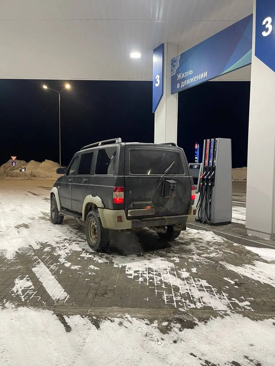 Продам зверя - Животные в Киров