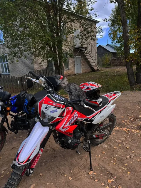 Продам мини эндуро Progasi Smart Max 150 - частное объявление в Киров