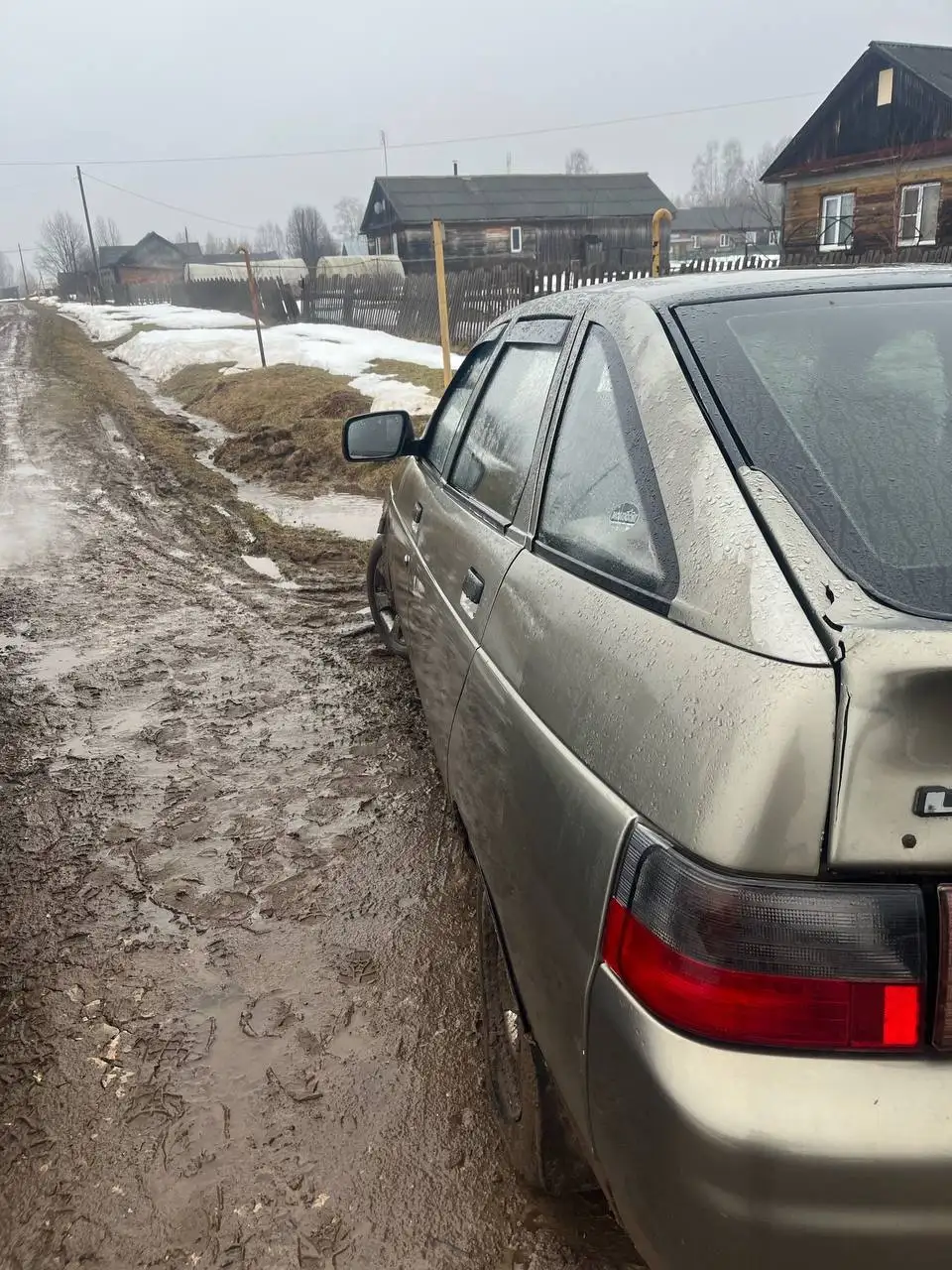 Продам в хорошие руки - Животные в Киров