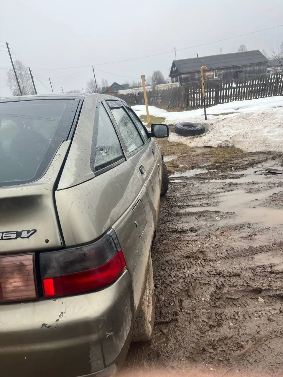 Продам в хорошие руки - Животные в Киров