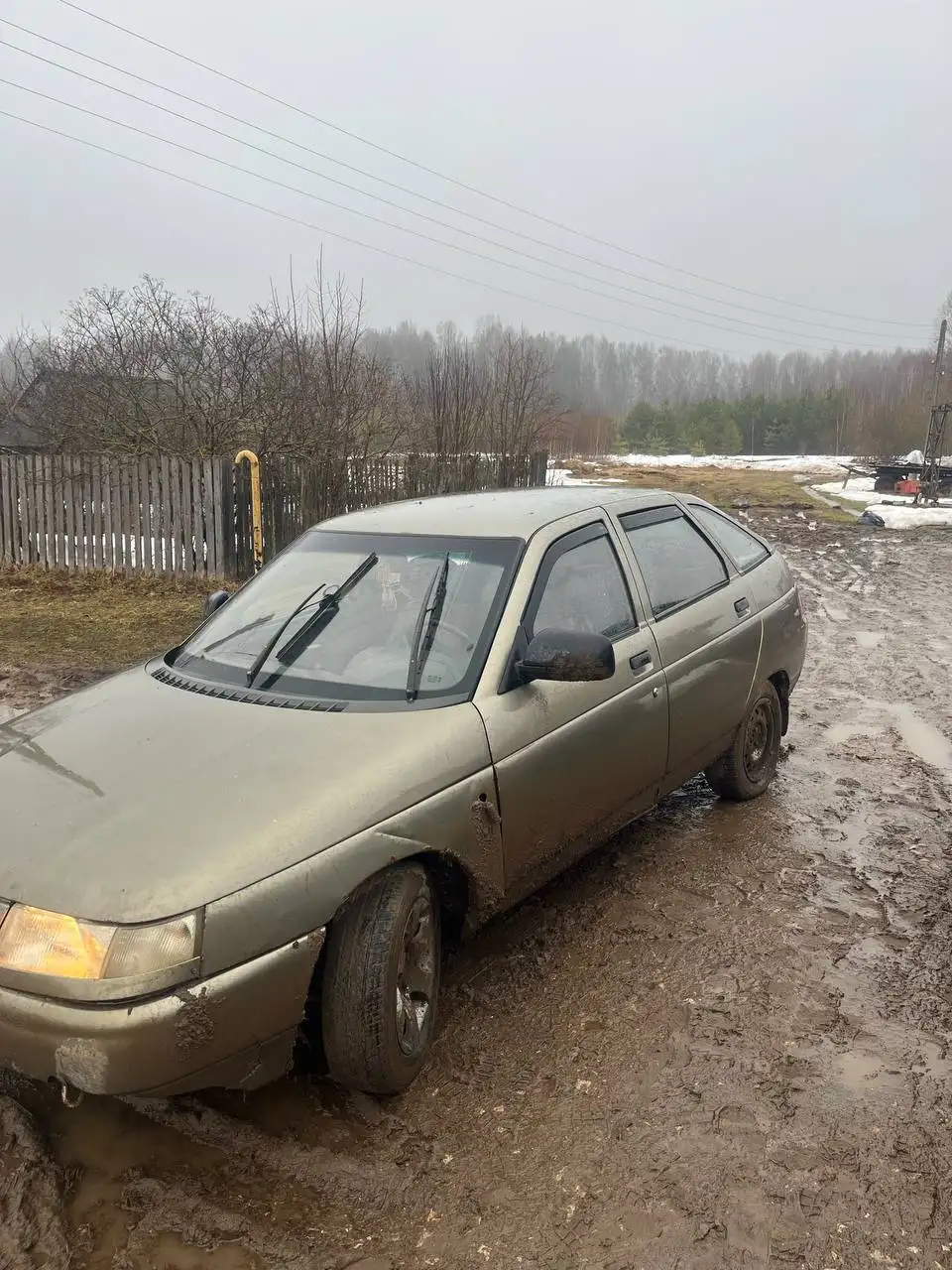 Продам в хорошие руки - Животные в Киров