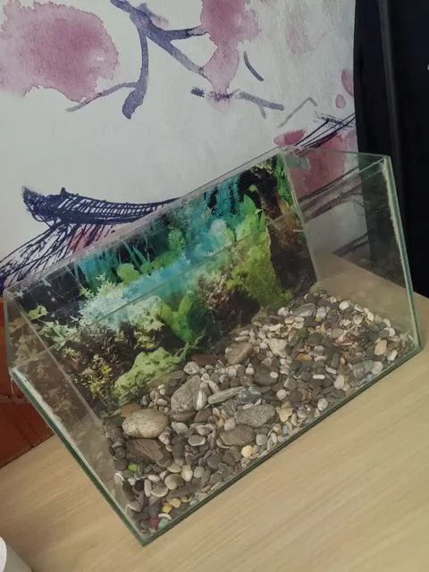 Продам аквариум на 15 литров - частное объявление в Томск