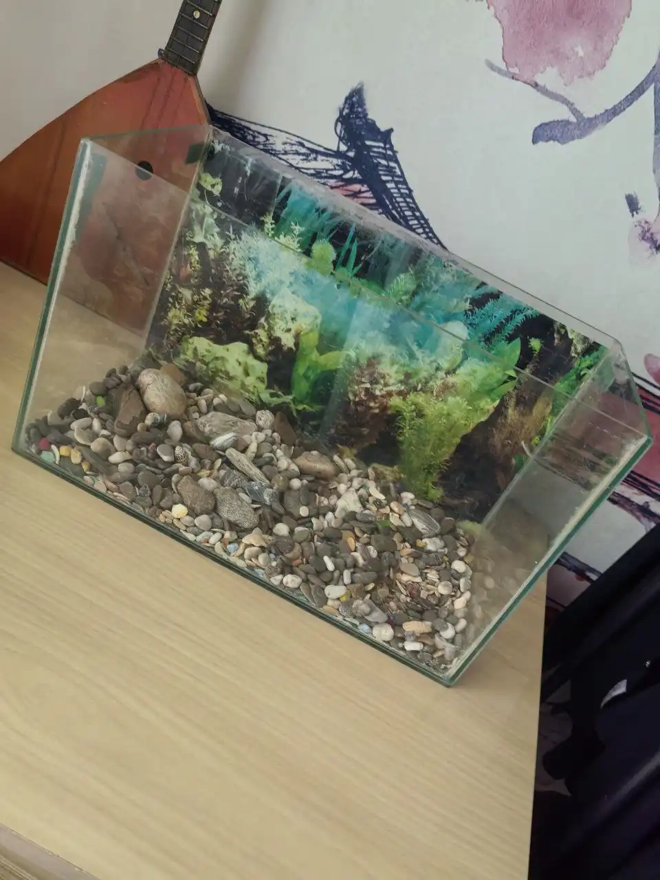 Продам аквариум на 15 литров