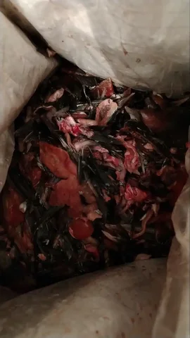 Продам остатки от рыбы свежемороженные - Посуда в Томск