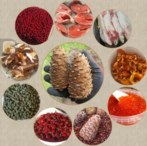 Продукты питания с доставкой: шишки, кедровый орех, рыба, икра - Барная мебель в Томск