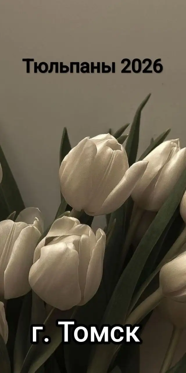 Тюльпаны в Томске - Цветы (Хобби и отдых) в Томск