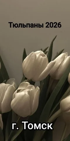 Тюльпаны в Томске - Лыжи в Томск