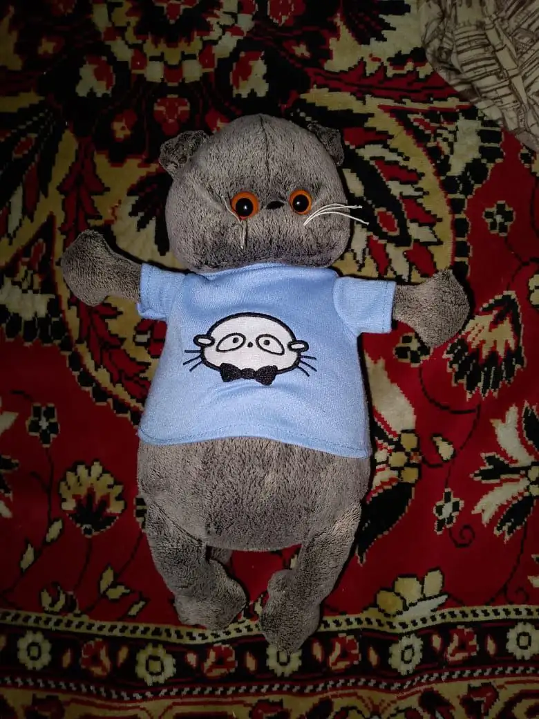 Кот Басик - Кошки (Животные) в Томск