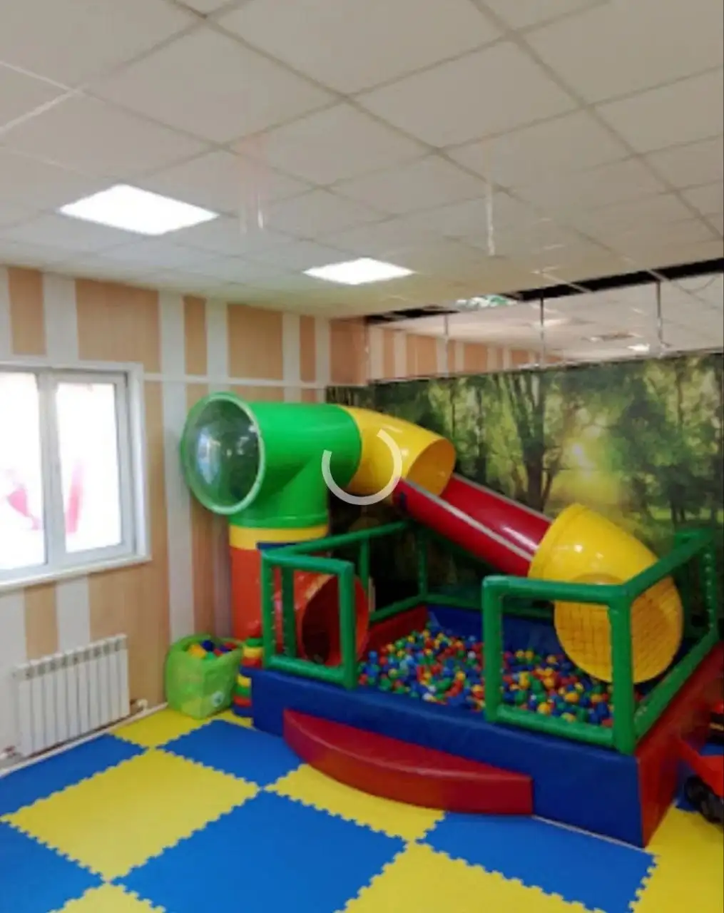 Продам Лабиринт - Животные в Томск