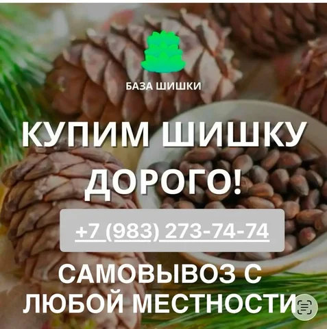 Продам медиафасад - Музыкальное оборудование в Томск