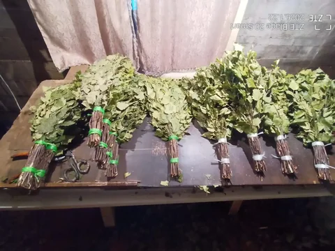 Продам берёзовые веники для бани - Виниловые пластинки в Томск