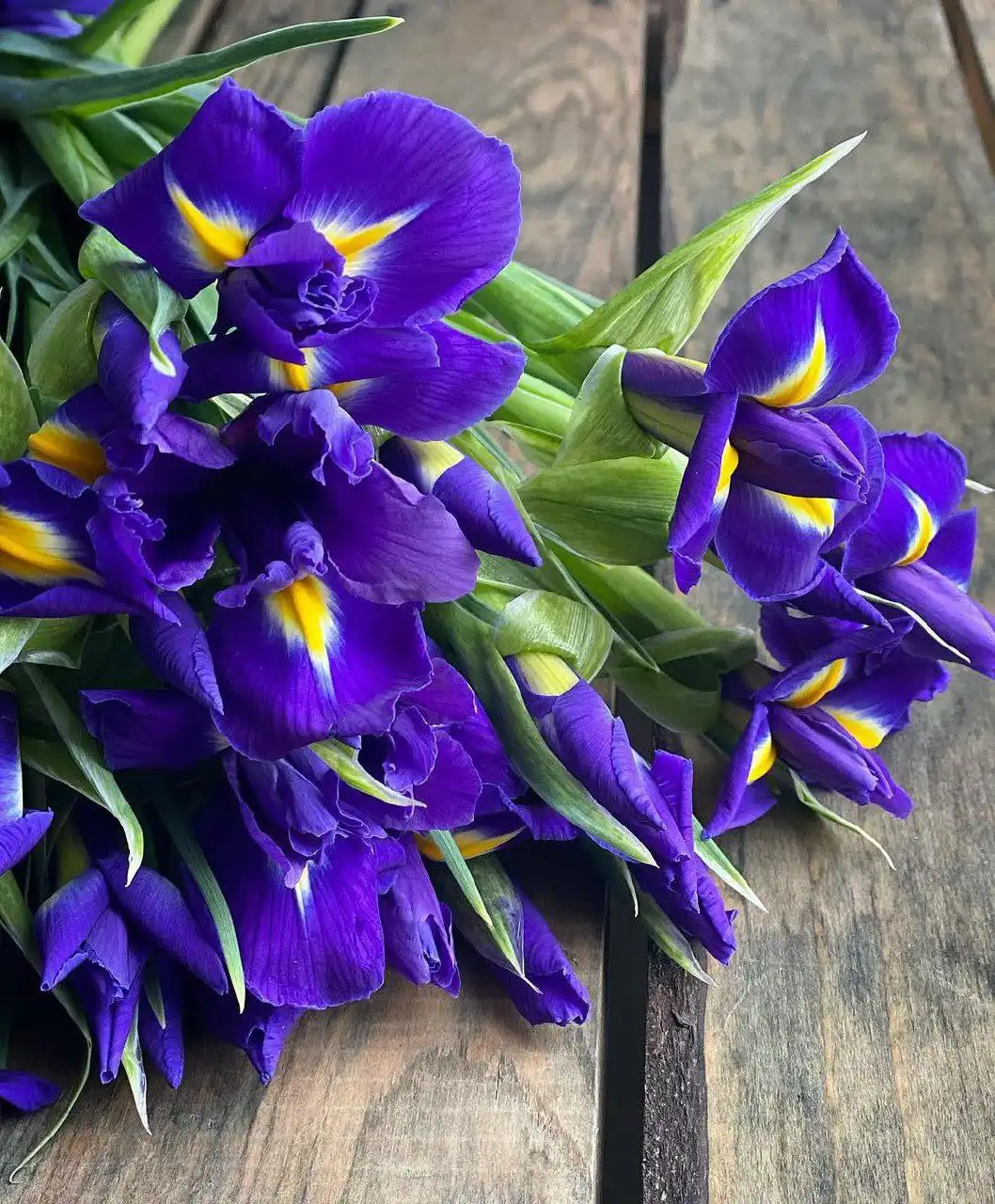 Распродажа саженцев, семян и луковиц цветов - Сад и огород (Хобби и отдых) в Арзамас