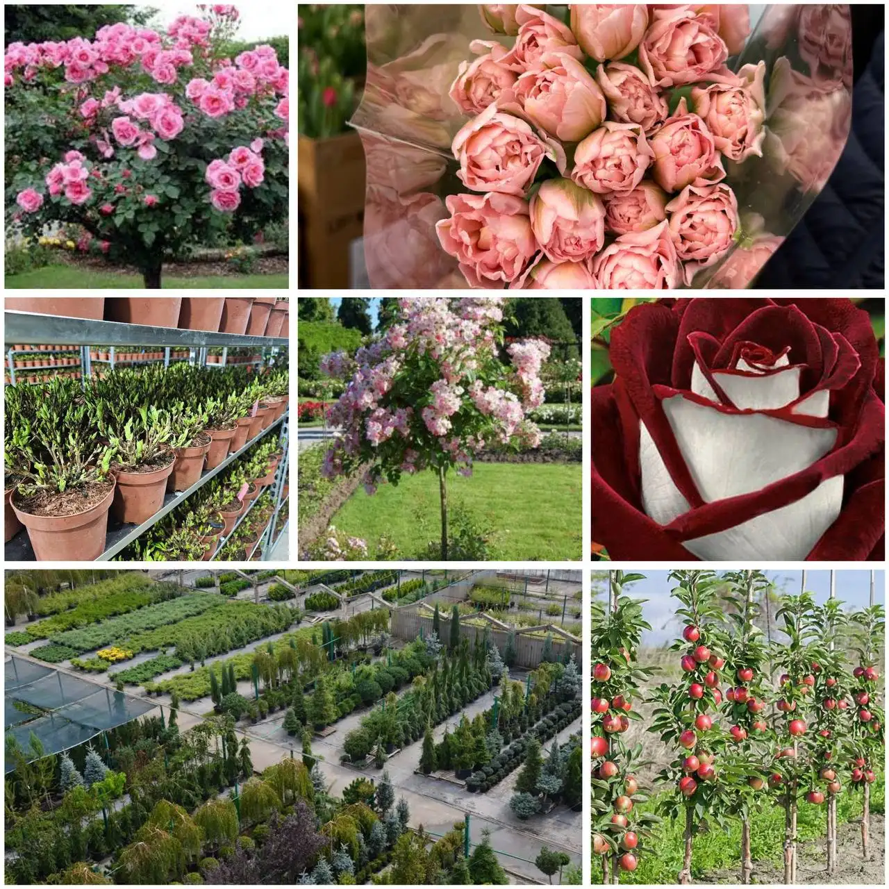 Каталог товаров магазина - Барахолка в Арзамас