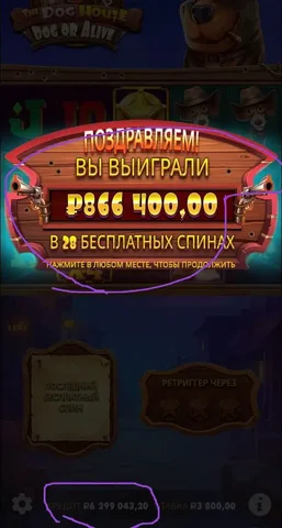 Объявления Арзамас Нижний Новгород Дзержинск Выкса Кулебаки Павлово Кстово Навашино Барахолка - частное объявление в Арзамас