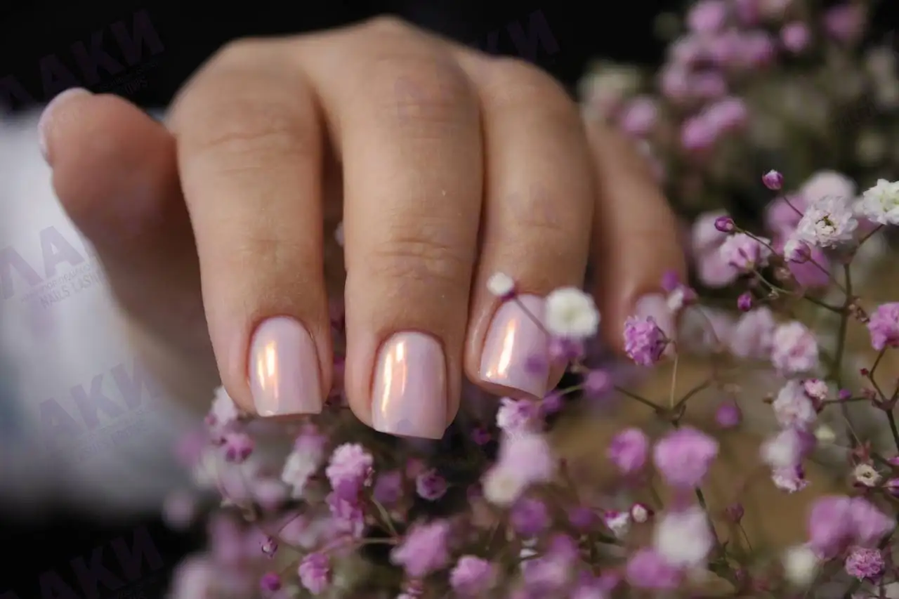 Студия ресничек и бровей в Барнауле - Брови и ресницы (Красота и здоровье) в Барнаул