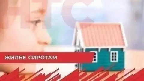 Юридическая помощь сиротам в получении жилья - Вывоз и утилизация в Барнаул