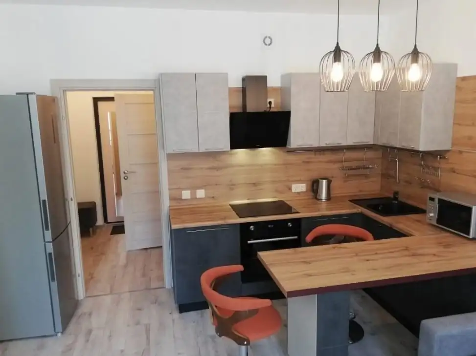 Студия в аренду в центре города - Аренда (Недвижимость) в Барнаул