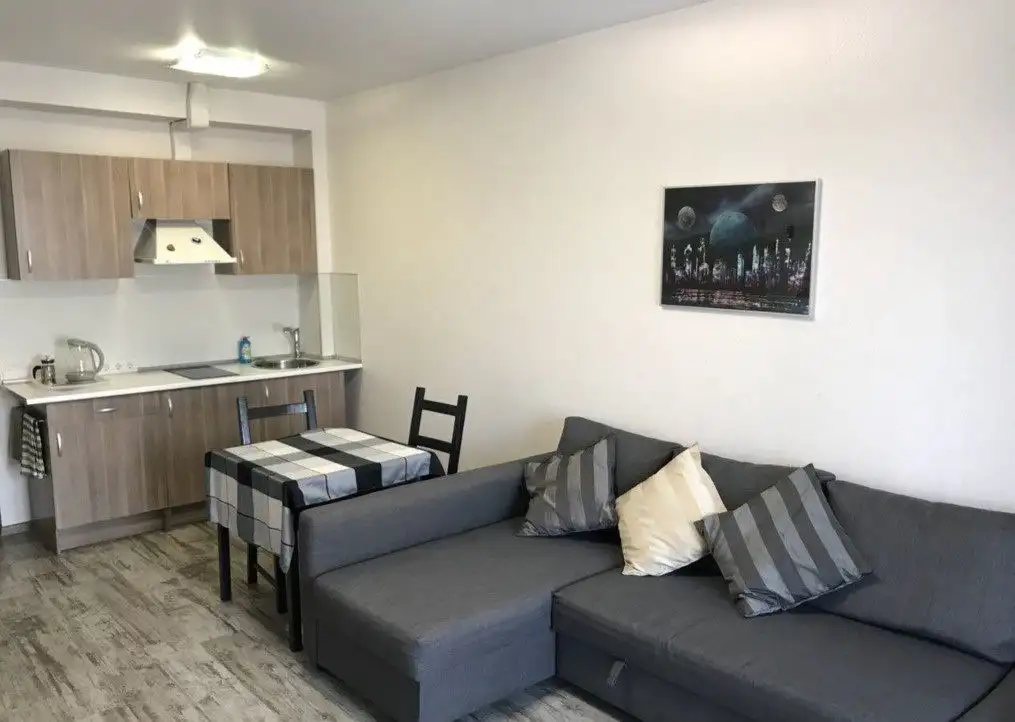 Сдается квартира-студия в новом доме на ул. Сергея Семенова - Аренда жилья (Недвижимость) в Барнаул