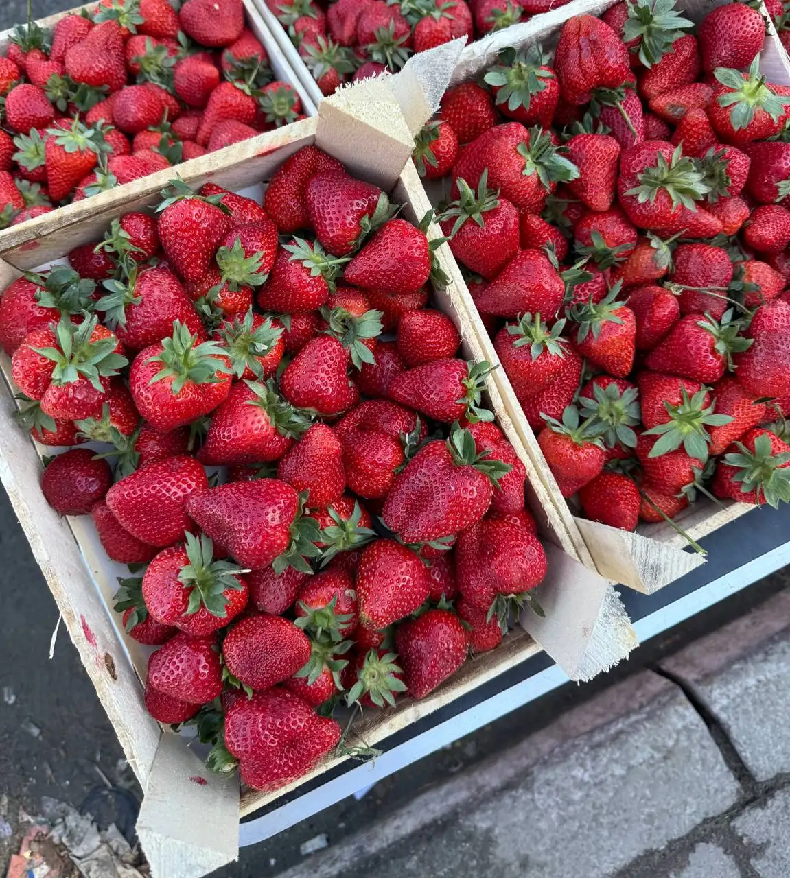 Киргизия чай 2 кг - Барахолка в Барнаул