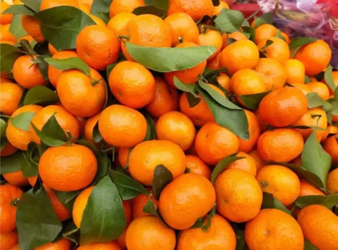 Мандарины сорт Бейби, последняя поставка в этом году
