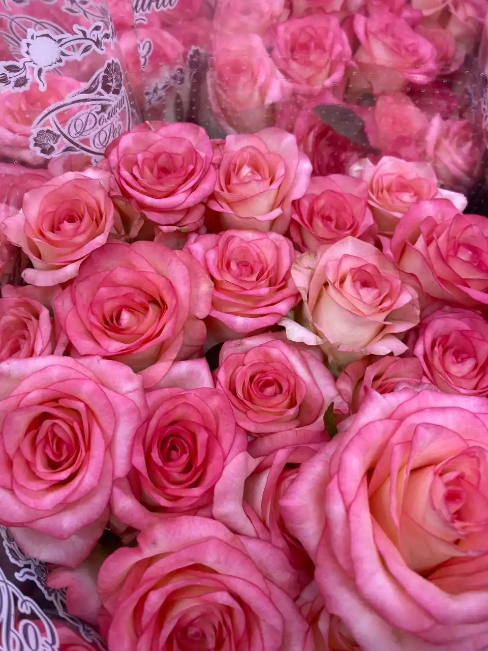 Розы с доставкой и оплатой после получения