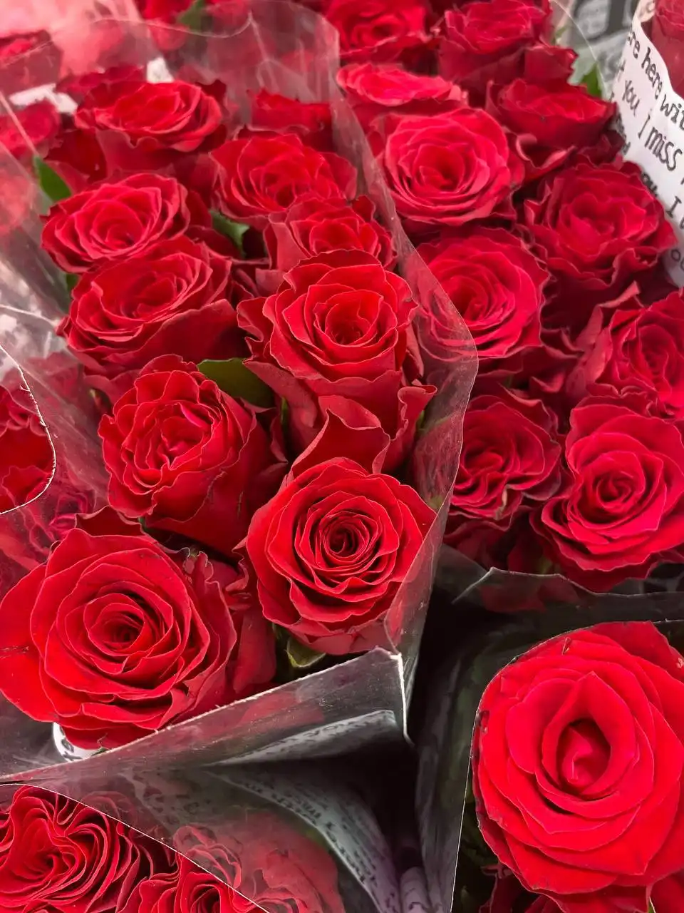 Розы с доставкой и оплатой после получения