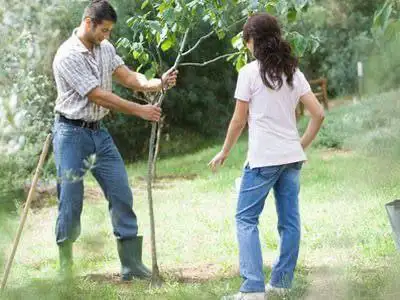 Вакансия: домработница и водитель-хозпомощник для семьи в Московской области - Домашний персонал (Работа) в Московская область