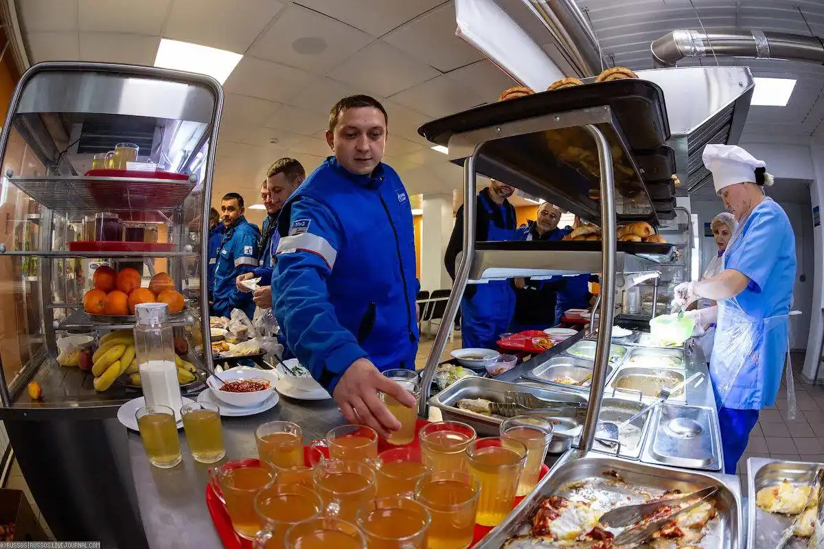 Вахта Север: вакансии поваров и пекарей на Крайнем Севере