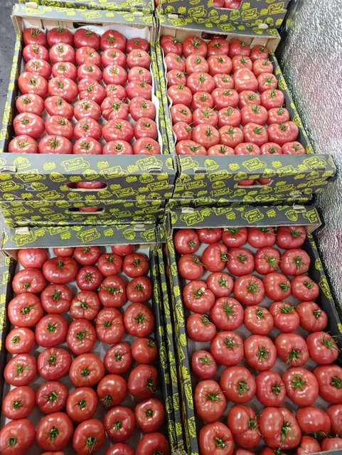 Продажа супер помидоров в Ставропольском крае - частное объявление в Ставропольский край