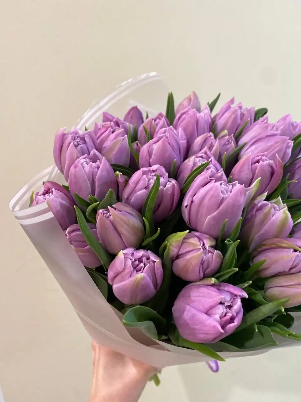 Пионовидные тюльпаны для подарка - Цветы (Хобби и отдых) в Ставрополь